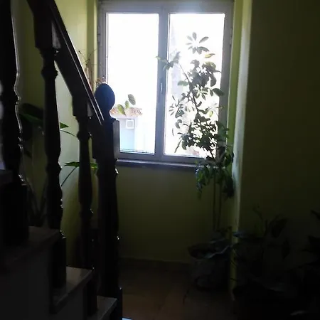 Pensao Estrela אורחן